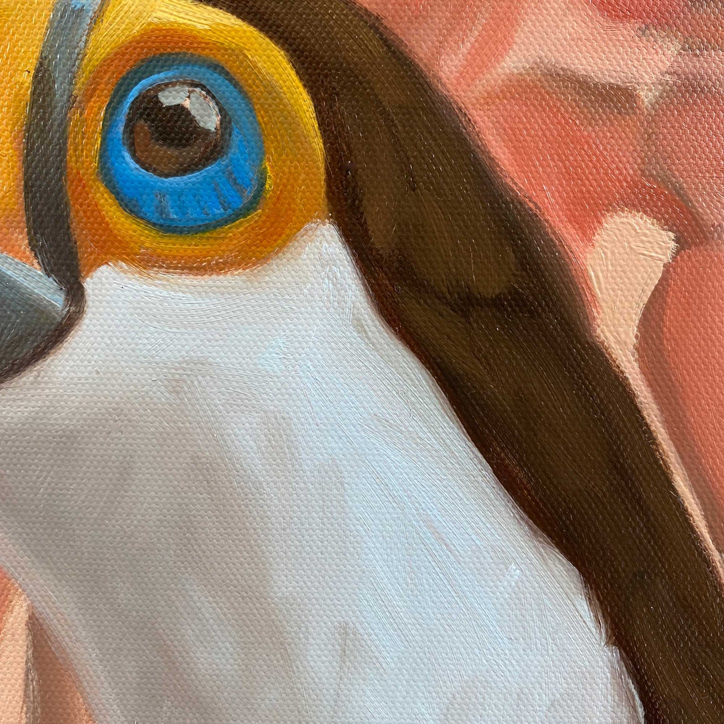 Toucan, unique piece, oil paint on canvas, 40 x 40 cm