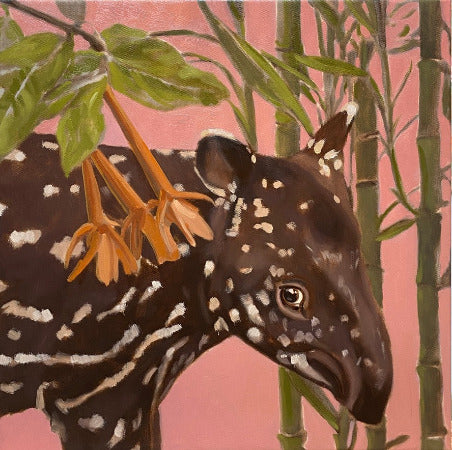 Tapir, unique piece, oil paint on canvas, 40 x 40 cm