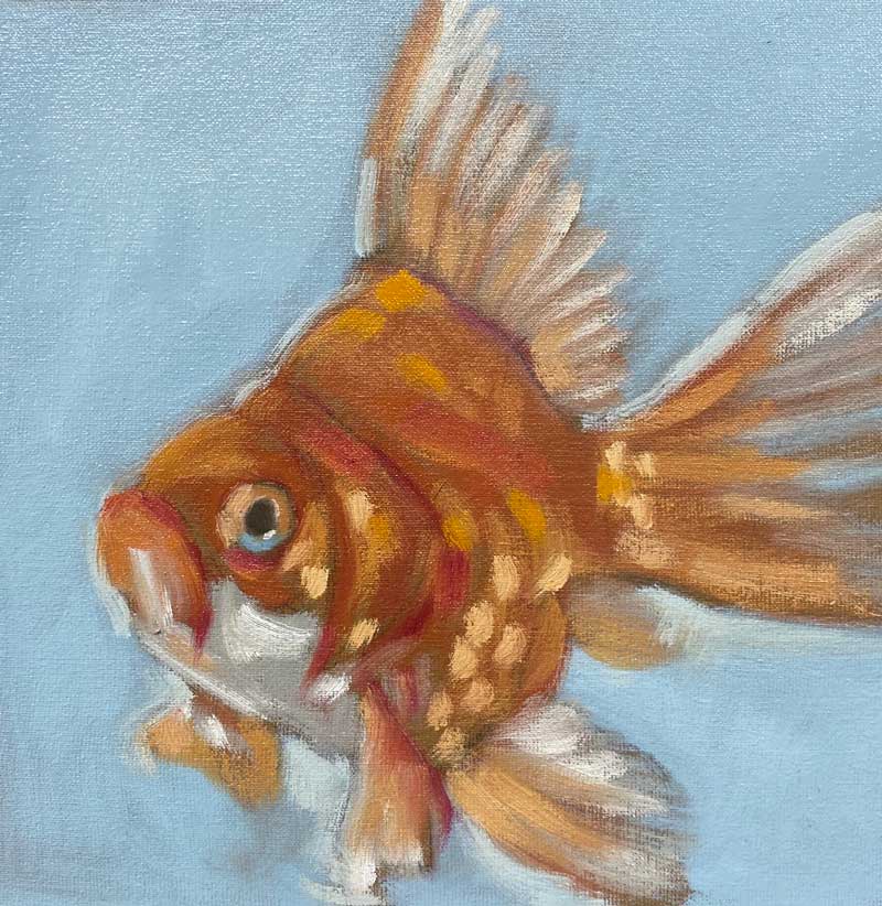 2019, Goldfisch, 20 x 20 cm