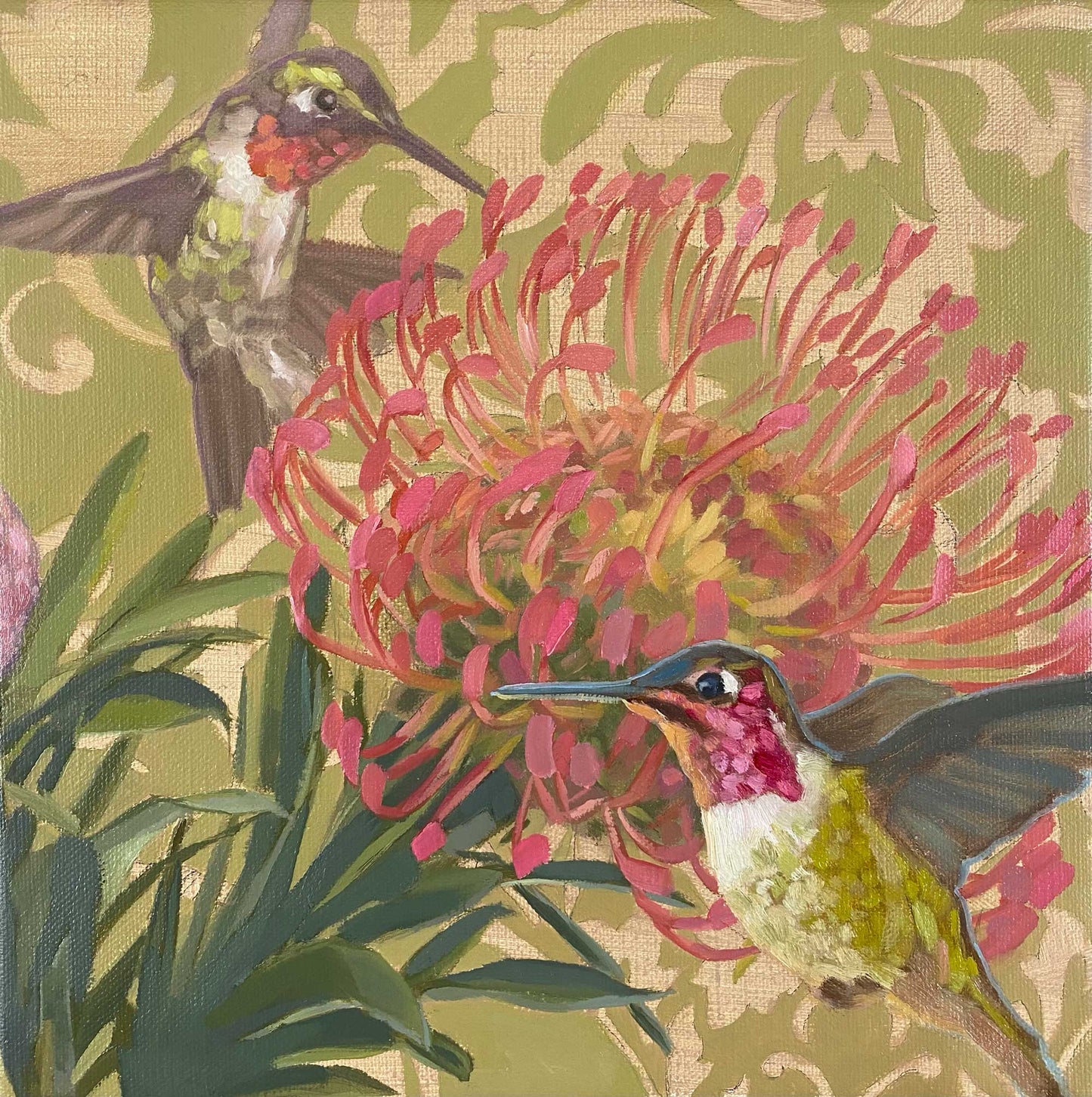 2021, hummingbird and pincushion flower, 30 x 30 cm