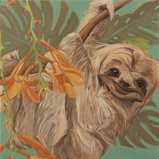 2022, sloth Carlos, 40 x 40 cm