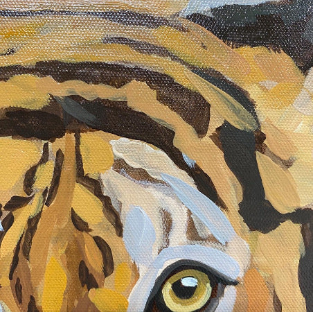 Tiger, oil paint on canvas, 40 x 40 cm