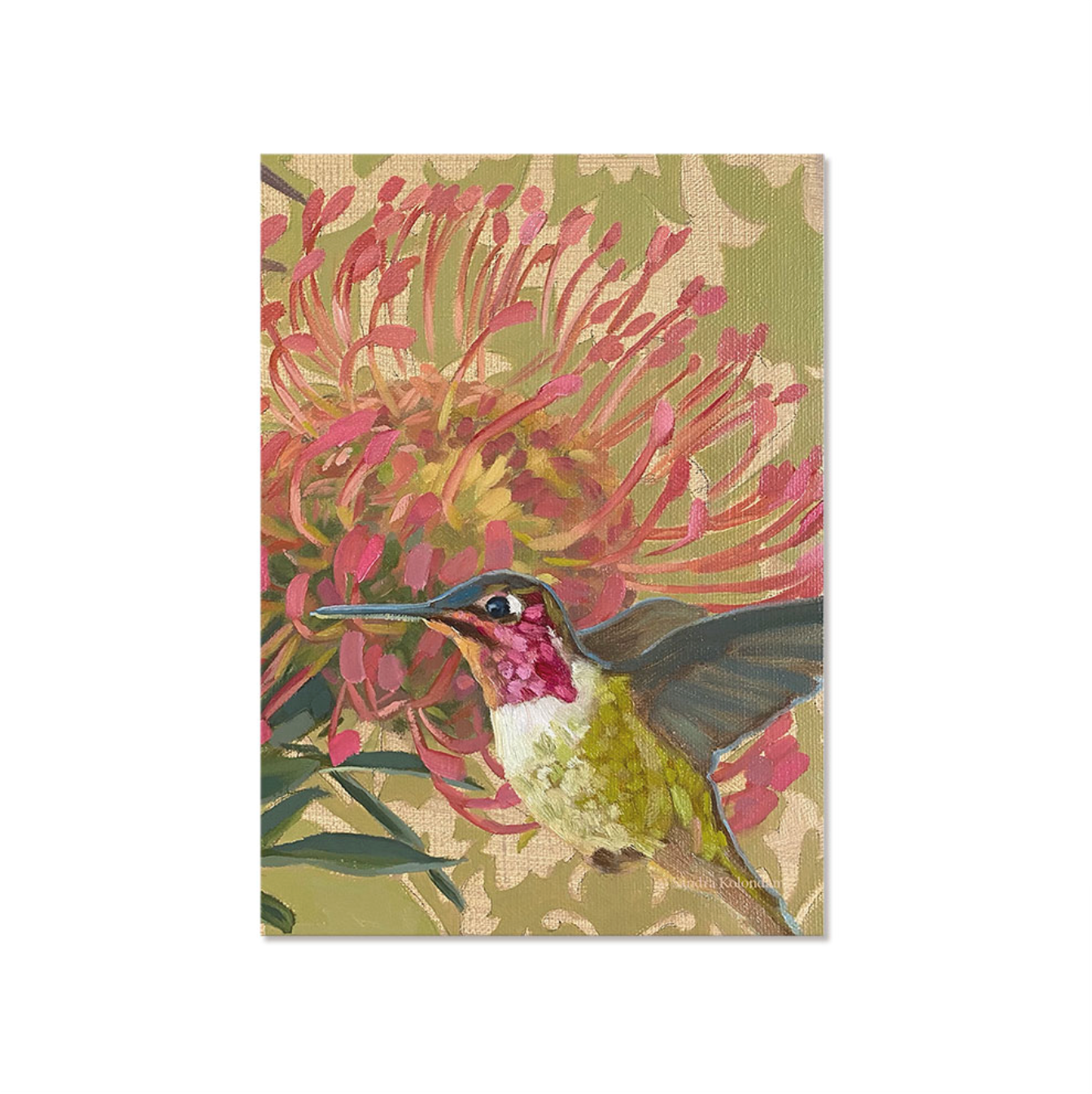 Postcard set, hummingbirds, various motifs