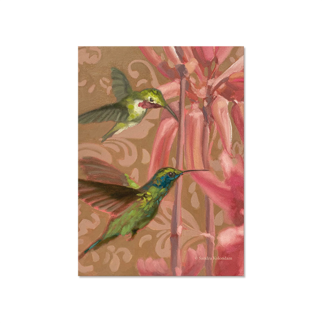 Postcard set, hummingbirds, various motifs