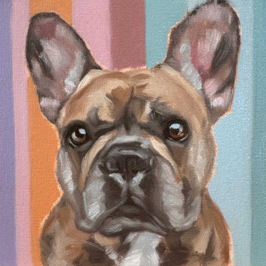 Daily Painting 25.04.2024, Französische Bulldoge, 15x15 cm