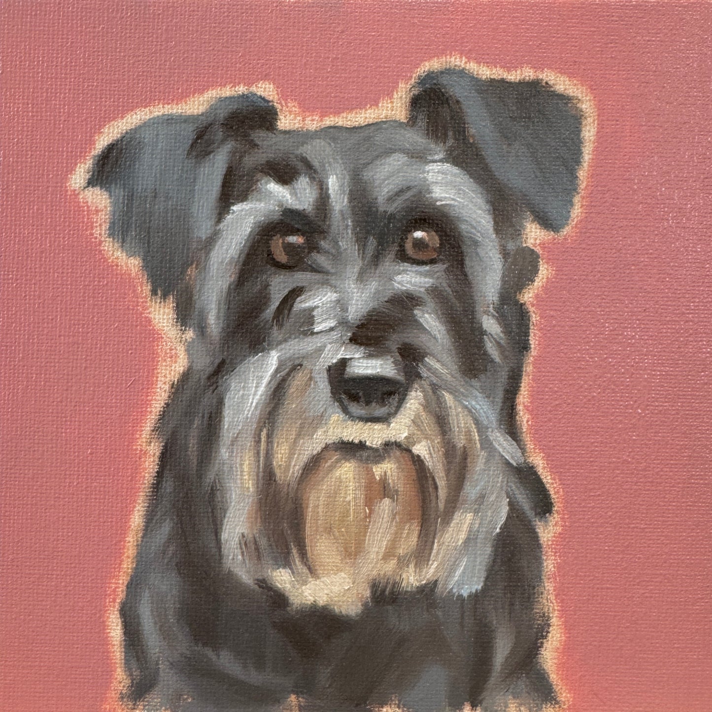 Daily Painting, 23.04.2024, Schnauzer, 15 x 15 cm