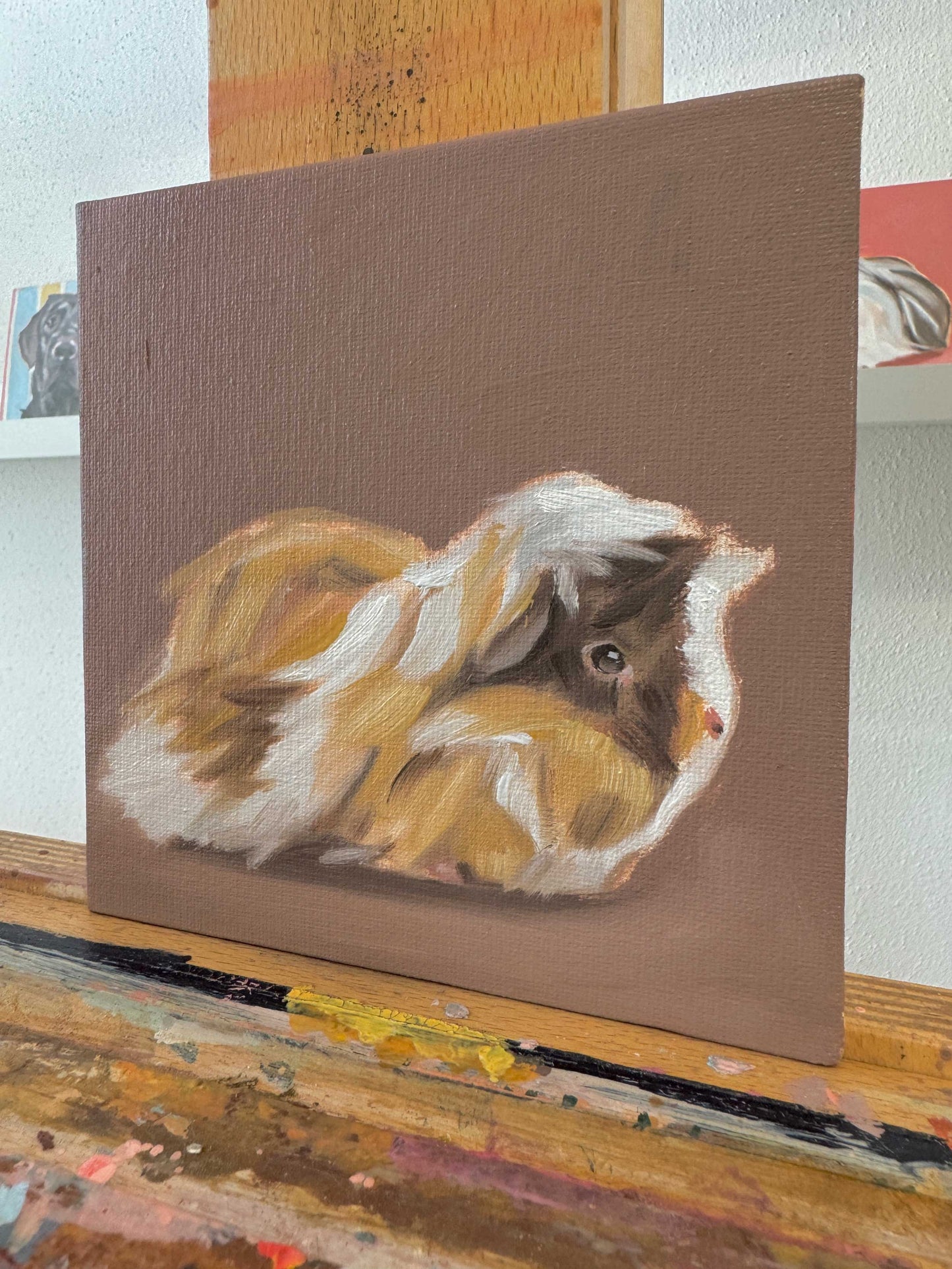 Daily Painting, 20.04.2024, Guinea Pig, 15 x 15 cm