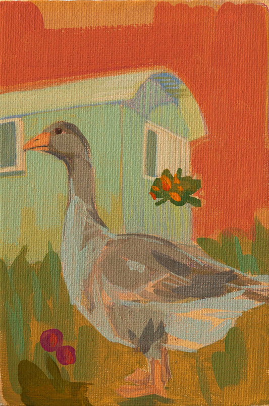 Greylag goose, unique, painting, hand-painted unique piece, 10x15 cm, including picture frame