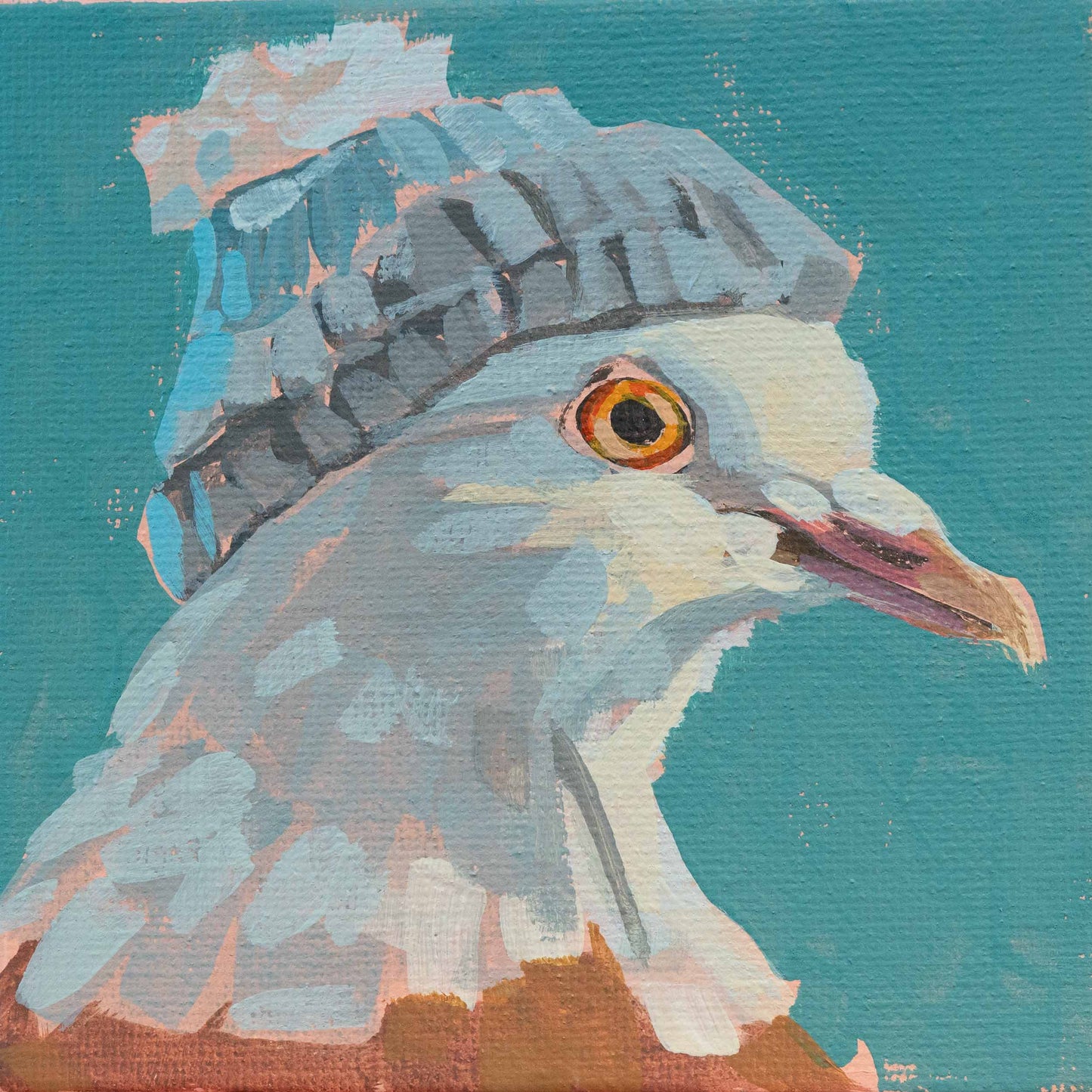 Pigeon Hans, unique, tableau, pièce unique peinte à la main, 10 x 10 cm