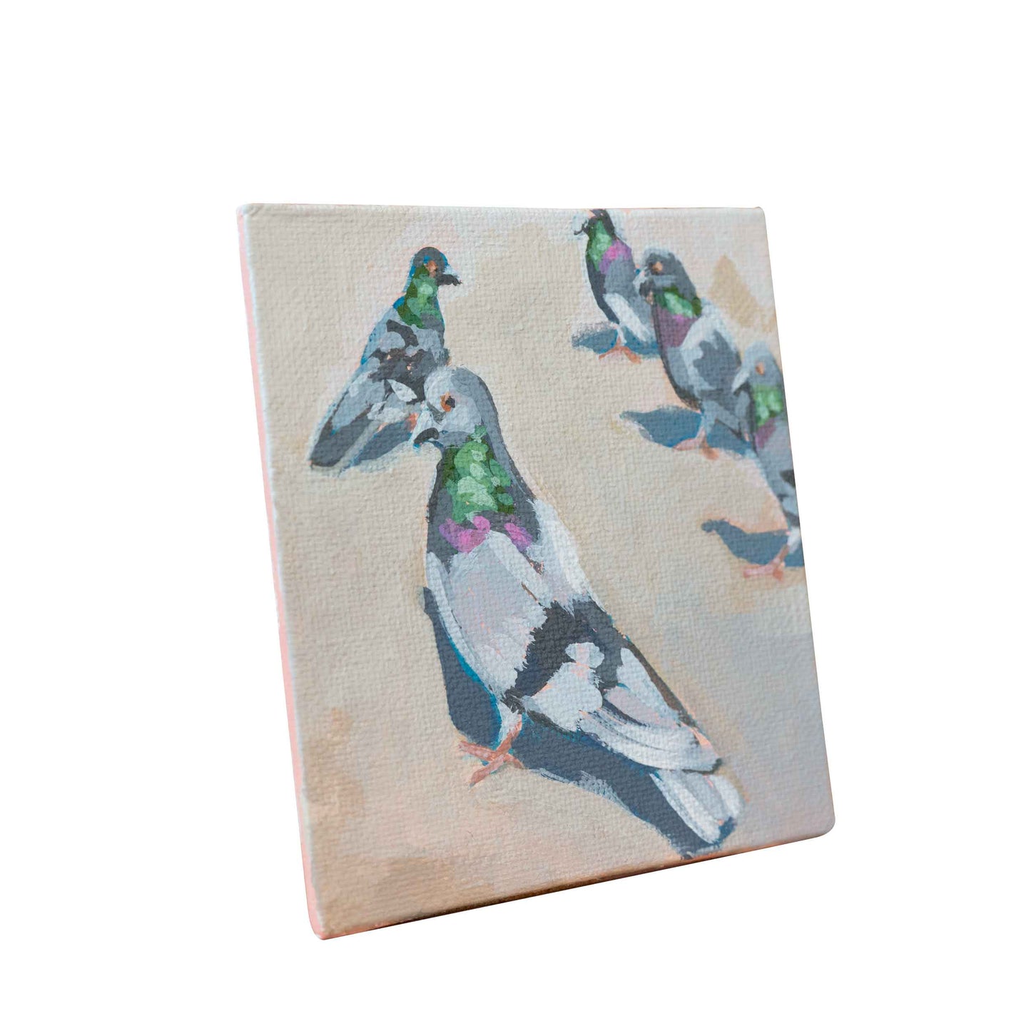 Tauben, Unikat, Malerei, handgemaltes Einzelstück, 10 x 10 cm, mit Bilderrahmen