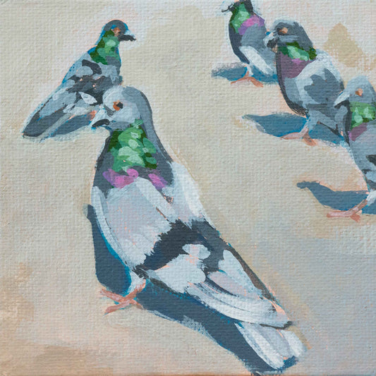 Pigeons, unique, tableau, pièce unique peinte à la main, 10 x 10 cm, avec cadre photo