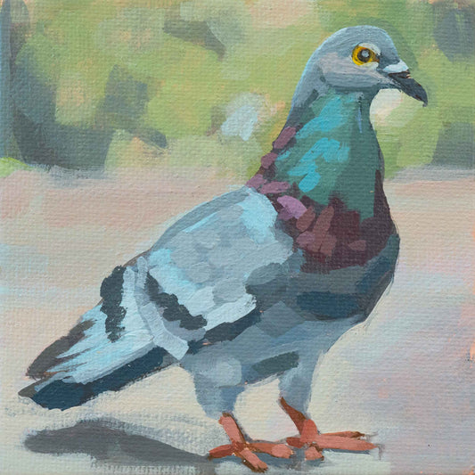 Pigeon, unique, tableau, pièce unique peinte à la main, 10 x 10 cm, avec cadre