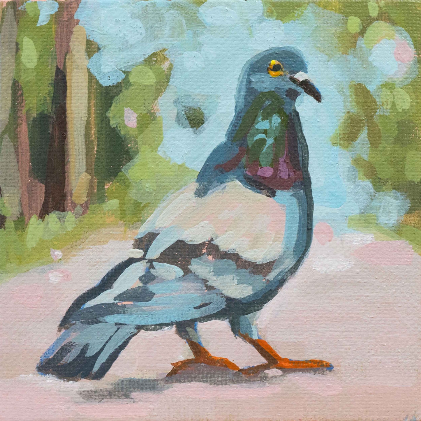 Pigeon, unique, tableau, pièce unique peinte à la main, 10 x 10 cm, avec cadre photo