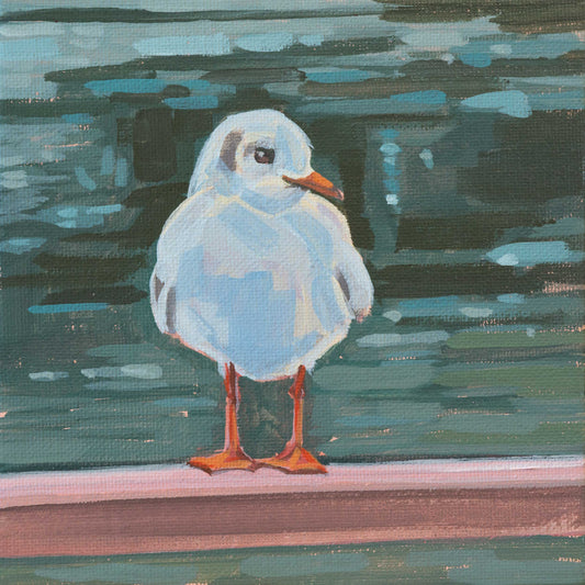 Seagull, unique, painting, hand-painted unique piece, 15 x 15 cm, with picture frame